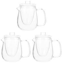3Pièces Théière En Verre Épais Anse Pour Tisanes