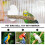 Spiegel Hout Vogelkooi Speelgoed Accessoire 5