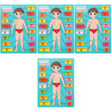 4Ensembles Puzzle Corps Humain En Bois Jeu Éducatif