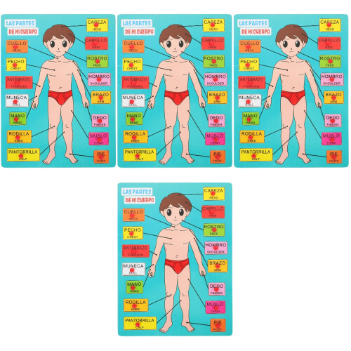 4Ensembles Puzzle Corps Humain En Bois Jeu Éducatif