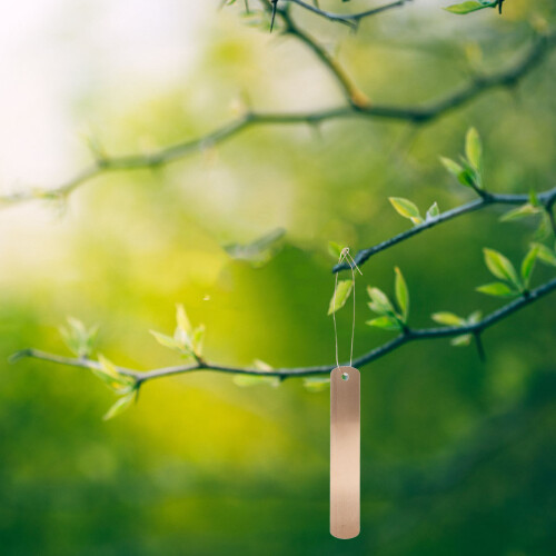 10 Tuinlabel Tags Boomrij Markeringen 2