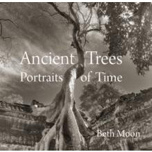 Ancient Trees Portraits of Time by Beth Moon Hardcover Book
