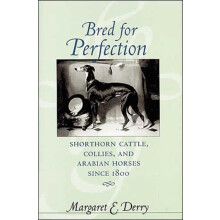 Bred for Perfection by Derry Margaret E. USE HOME ADDRESS Poplar Lane