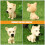 2St Resin Bobblehead Hond Auto Ornament Dashboard Decoratie 5