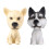 2St Resin Bobblehead Hond Auto Ornament Dashboard Decoratie 7