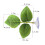 Multi Dure Simulatie Aquariumplant Decoraties 2