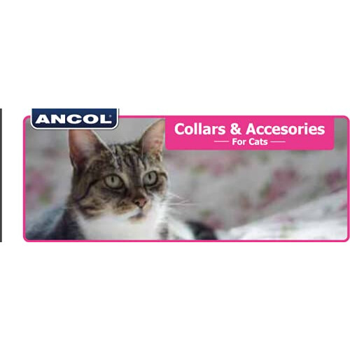 Ancol Ancol Gloss Reflective Cat Collar with safety buckle Silver 2