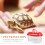 Plastic Reptiel Draagkooi Met Handvat 6