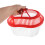 Plastic Reptiel Draagkooi Met Handvat 7
