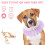 Polyester Paarse Kat En Puppy Verstelbare Halsband 5