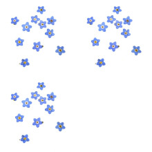 300Pcs Pressed Dried Natural Forgetmenot Flower Plant Herbarium for Jewelry Phone Case Nailart DIY