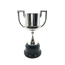 RFEF SF-RFEF-CDR-150 Official Replica King's Cup, 15 cm Trophy, Metal 3D, Unisex-Adult, Grey, 150 mm