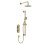 Bristan Bristan Frammento Brushed Brass Concealed Dual Control Shower Pack 1