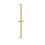 Bristan Bristan Square Riser Rail with Fixed Position Brackets, Wall Mounted, Brushed Brass Finish 1