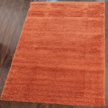 Super Soft Burnt Orange Shaggy Lounge Living Room Area Rugs Thick Fluffy Bedroom Nursery Mat Carpet Modern Non Shedding Rug 160cm x 230cm