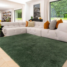 Dark Green Machine Washable Warm Insulating Soft Cosy Touch Plush Thick Shaggy Rug for Bedroom Livingroom Hallway 120cm x 170cm (3ft 11" x 5ft 7")