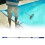 Telescopic Swimming Pool Poles 3 Section Retractable Pool Brush Poles Enduring 6