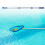 Telescopic Swimming Pool Poles 3 Section Retractable Pool Brush Poles Enduring 4