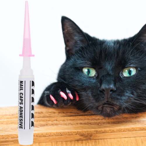 60Pièces Adhésive Pour Ongles De Chats 2