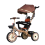 Kids Tricycle with Canopy Push Handle Brown 1
