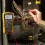Premium 4mm Test Cables Bronze Conductors Flexible Shielding Safe Electrical Use 2