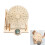 Equatorial Clock Model Educational Toy for Kid Aged 7-14 Science Project 3