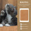 2St Kattenkrabpad Mescalijn Krabmat 3
