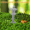 Micro Landschap Levering Mini Standbeeld Zandsteen 1 3