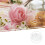 1St Heldere Cake Cover, Voedselbescherming Dome 3
