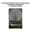 Functional Schumann Waves Generator Waves Frequency Generator Adjustable Waves 5