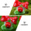 20St Compacte Miniatuur Paddenstoel Ornament Van 5