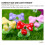 20St Compacte Miniatuur Paddenstoel Ornament Van 6