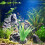 Decoratieve Plastic Aquatische 10 9