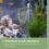 Terrarium Steenversiering Aquarium Inrichting Hars Set 3