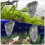 Terrarium Steenversiering Aquarium Inrichting Hars Set 8