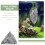 Terrarium Steenversiering Aquarium Inrichting Hars Set 5