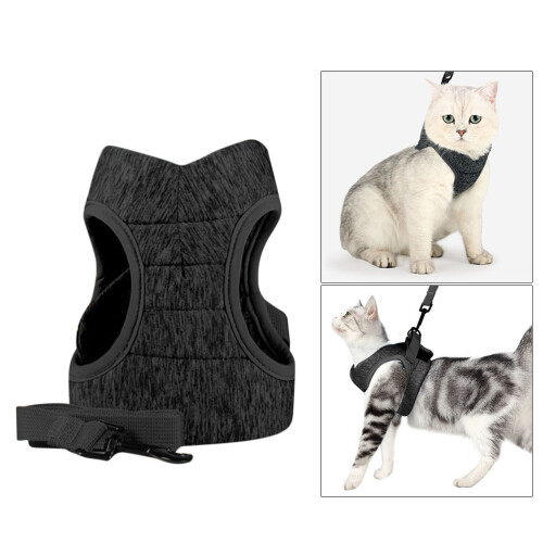 Pet Kat Grijs 1 Dagelijks 1