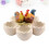 2Pièces Cache-Pots En Résine Multicolores Pour Succulentes Cactus 8