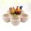 2Pièces Cache-Pots En Résine Multicolores Pour Succulentes Cactus 9
