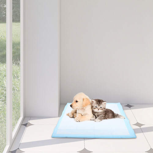Pet Pads Met Antibacteriële En Auto 2