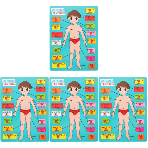 4Ensembles Puzzle Corps Humain En Bois Jeu Éducatif 1