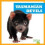 Tasmanian Devils by Natalie Deniston Paperback Book 1