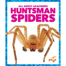 Huntsman Spiders by Jenna Lee Gleisner Paperback Book