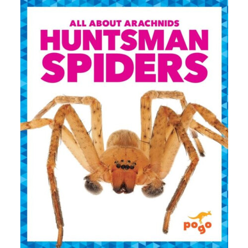 Huntsman Spiders by Jenna Lee Gleisner Paperback Book