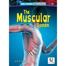 Muscular System by D. R. Faust Paperback Book