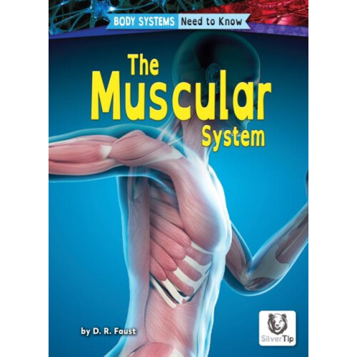 Muscular System by D. R. Faust Paperback Book