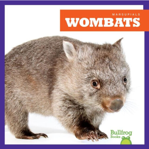 Wombats by Natalie Deniston Paperback Book
