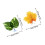 3 bladpad broedblad rustplaats betta vis aquarium decoratie 2