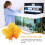 3 bladpad broedblad rustplaats betta vis aquarium decoratie 4