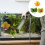 3 bladpad broedblad rustplaats betta vis aquarium decoratie 11